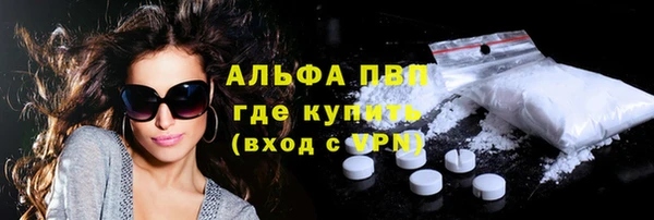 сатива Березники
