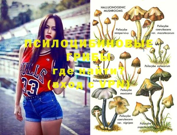 кокс Липки