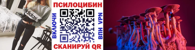 Псилоцибиновые грибы прущие грибы  Новочеркасск 