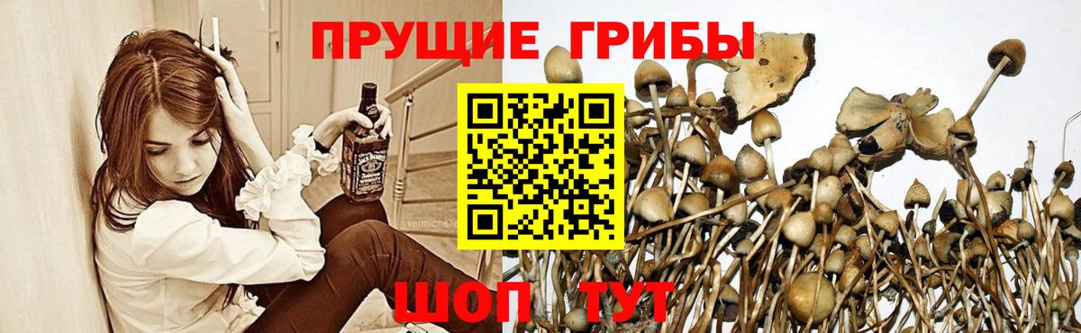 Галлюциногенные грибы ЛСД  Вход с VPN  Новочеркасск 